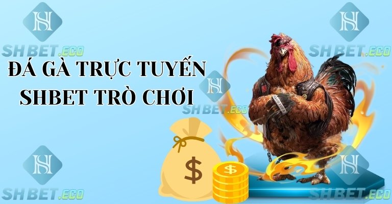 Đá gà trực tuyến với trò chơi dân gian tại Việt Nam