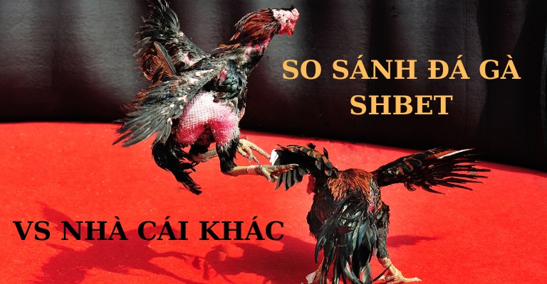 So sánh đá gà SHBET và các sân chơi khác