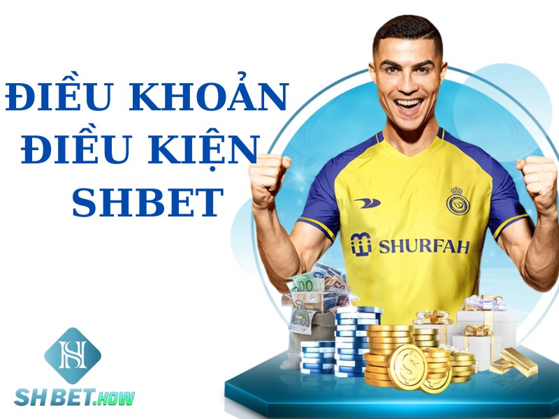 Điều khoản điều kiện SHBET 2024 - Thông tin chi tiết