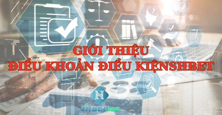 Điều khoản điều kiện SHBET và những thông tin cơ bản