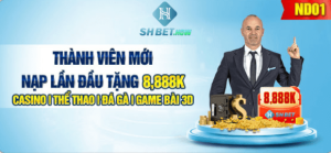 Thành viên mới nạp đầu