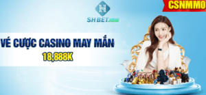 vé cược casino may mắn